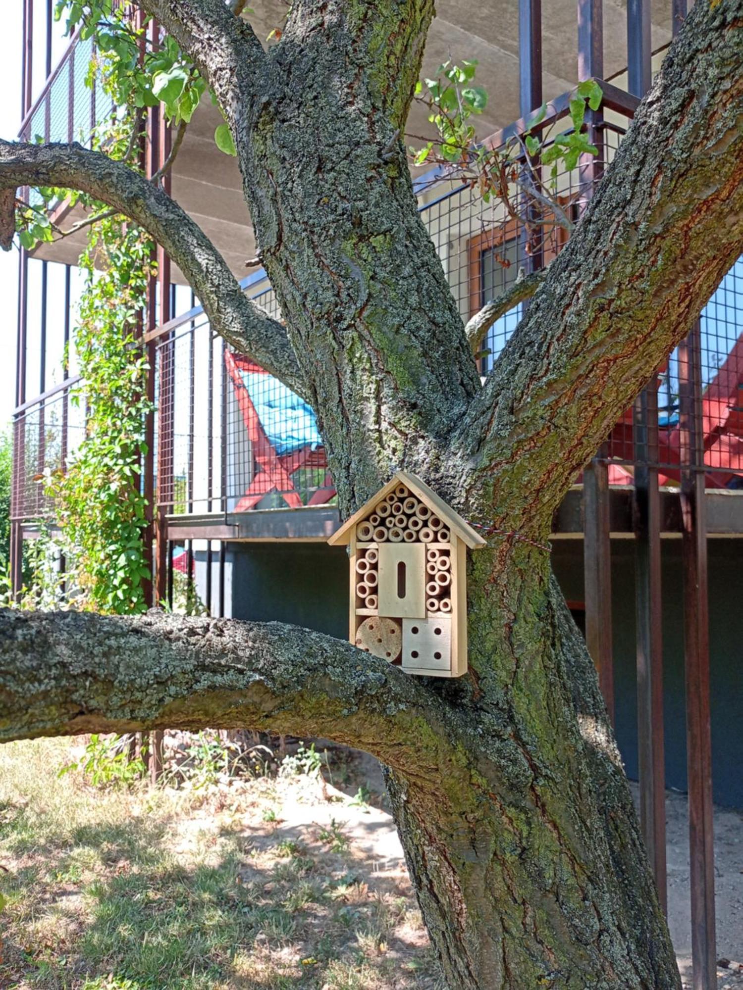 Vila Vekose - Apartman S Terasou A Zahradou Hradec Králové Extérieur photo
